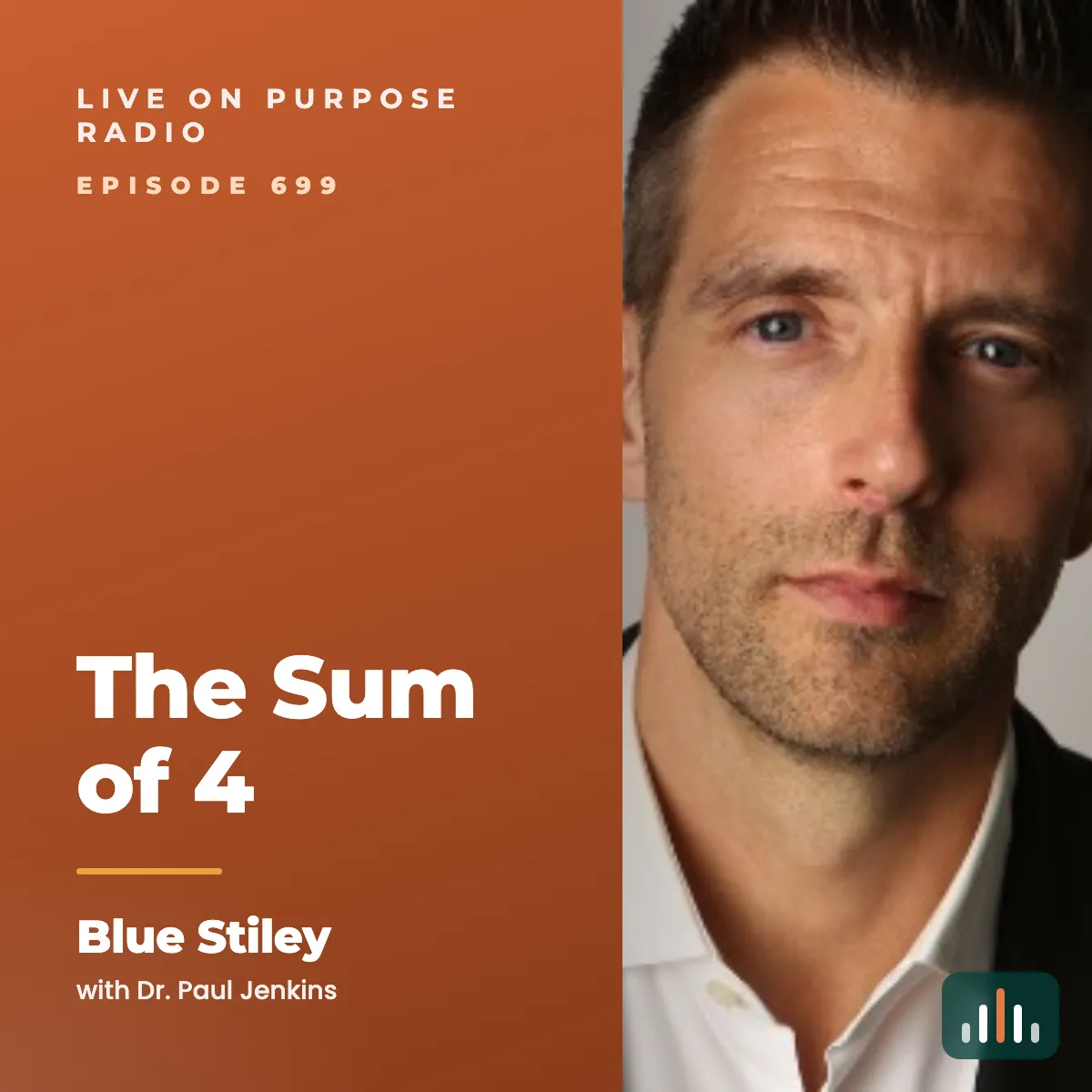 Episode art: The Sum of 4 – with Blue Stiley